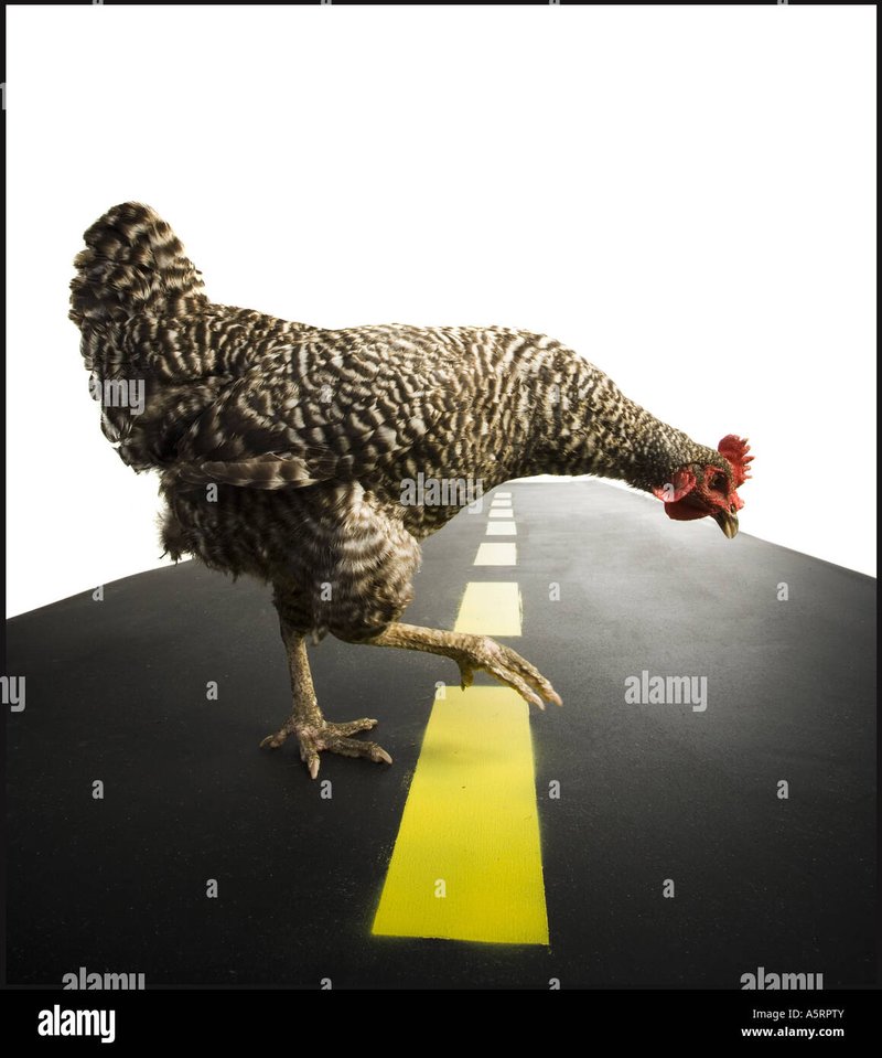 Jocul chicken road, chicken road romania